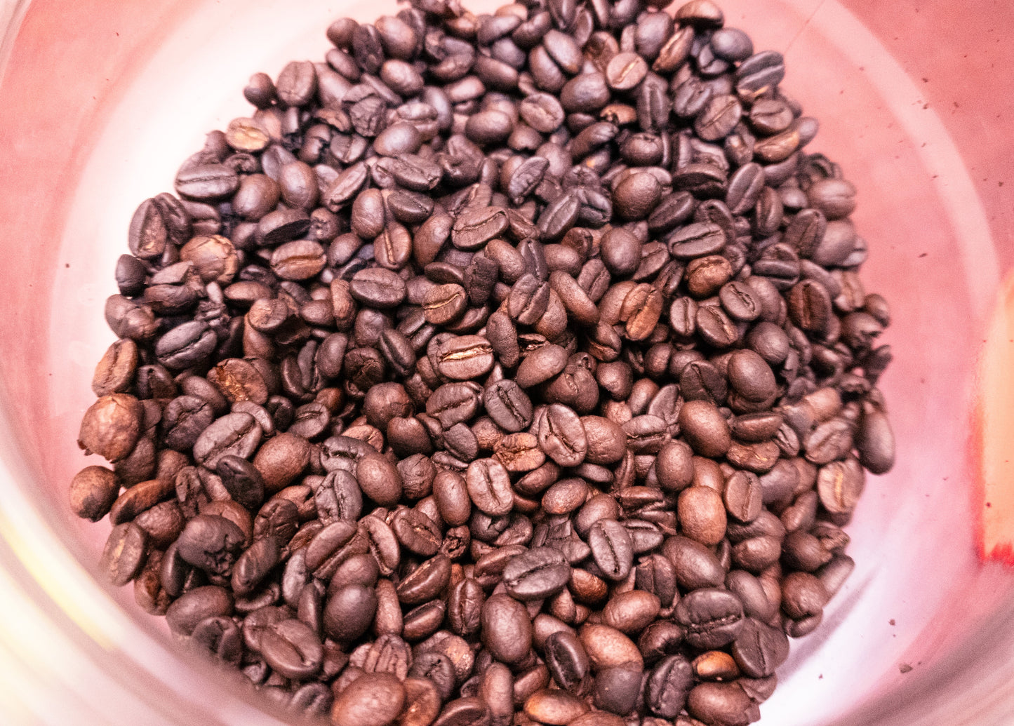 Guerrero Mountain Range Dark Roast Espresso Beans